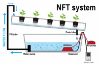 NFT Systems