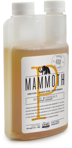 Mammoth P  - 4 sizes available