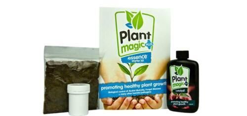 Plant Magic Plus Essence Starter Kit - Soil/Coco