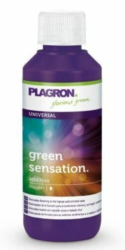 Plagron Green Sensation - 100ml