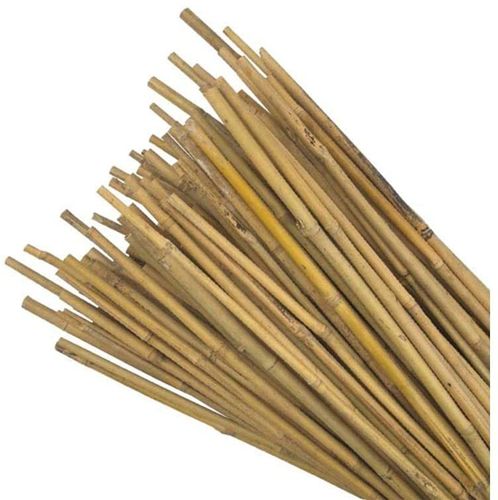 Bamboo Canes - 4', 5' & 6' lengths