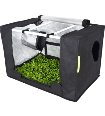 Garden HighPro Probox Propagator Kit including LEDmax Light - Small (60 x 40 x 40)