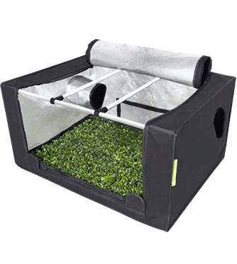 Garden HighPro Probox Propagator Kit including LEDmax Lights - Medium (80 x 60cms x 40cms)